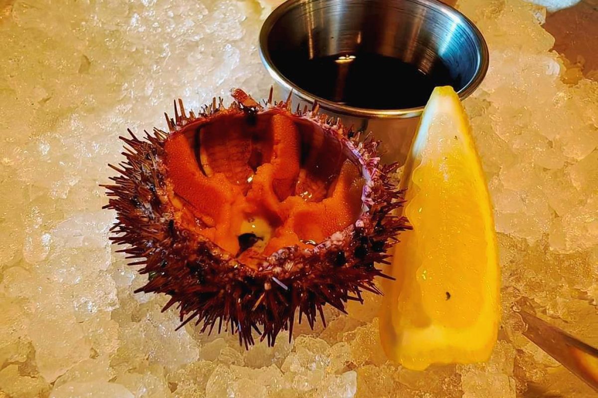 Тур "Знакомство с Владивостоком"