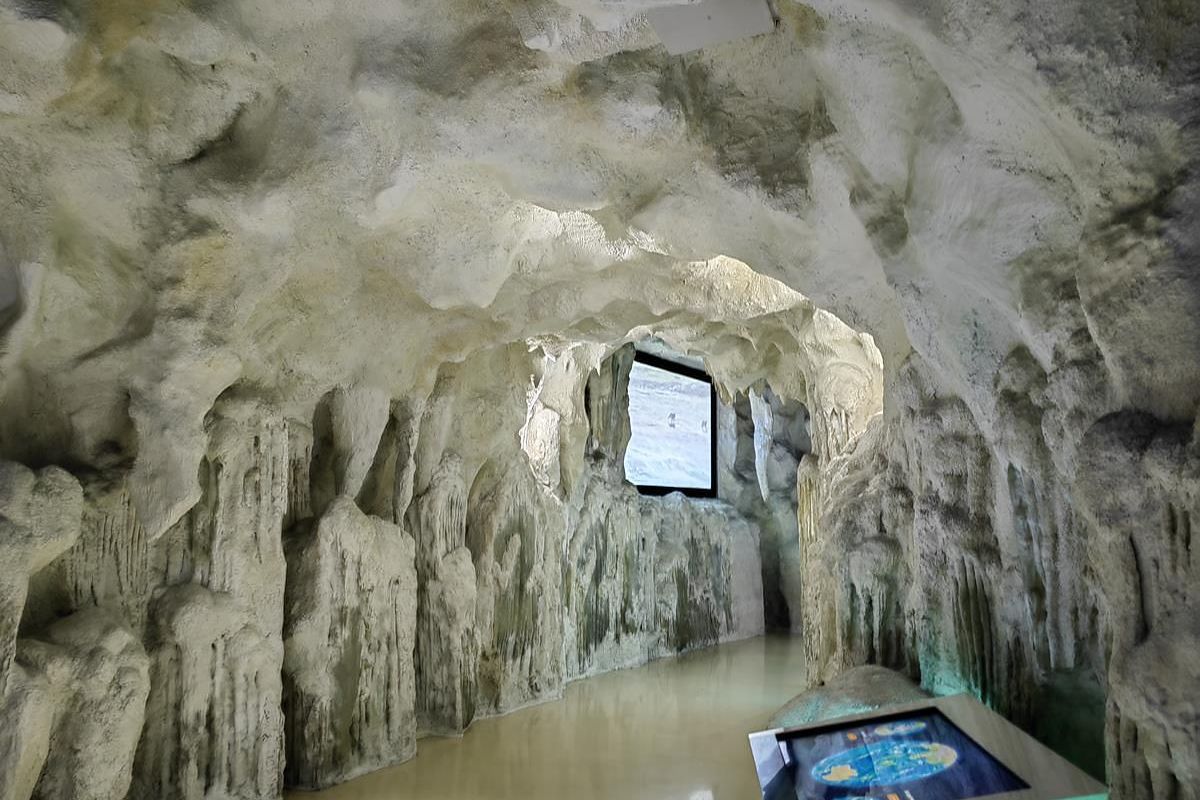 Тур "Лотосы и море"