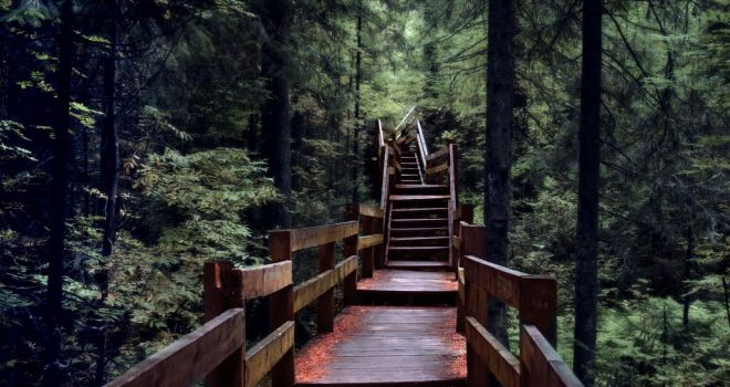 Самаровский Чугас