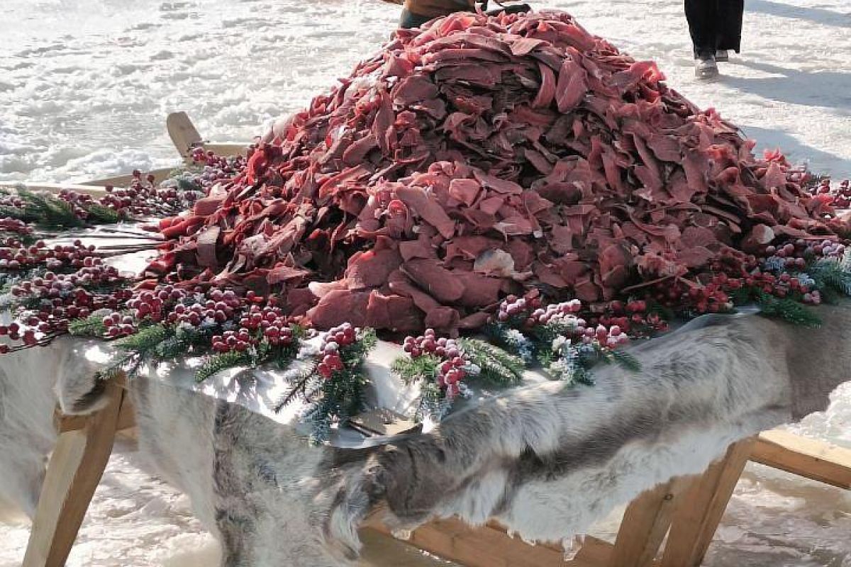 День оленевода