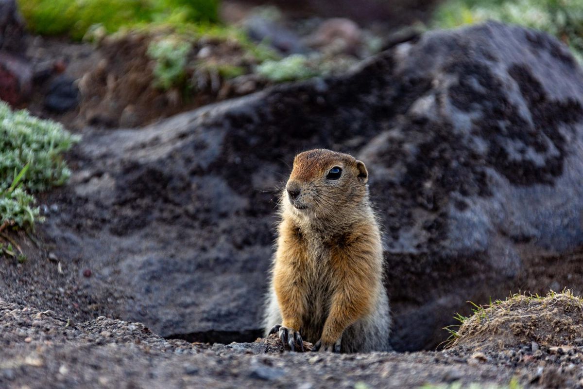 Вдыхай лето. Летний тур на Камчатку с PEAK 3'456