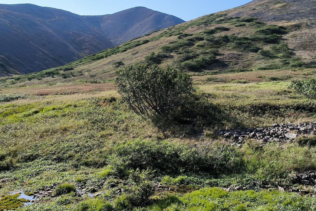 Прогулка по древнему вулкану (г. Анадырь, гора Дионисия), тур с ночёвкой