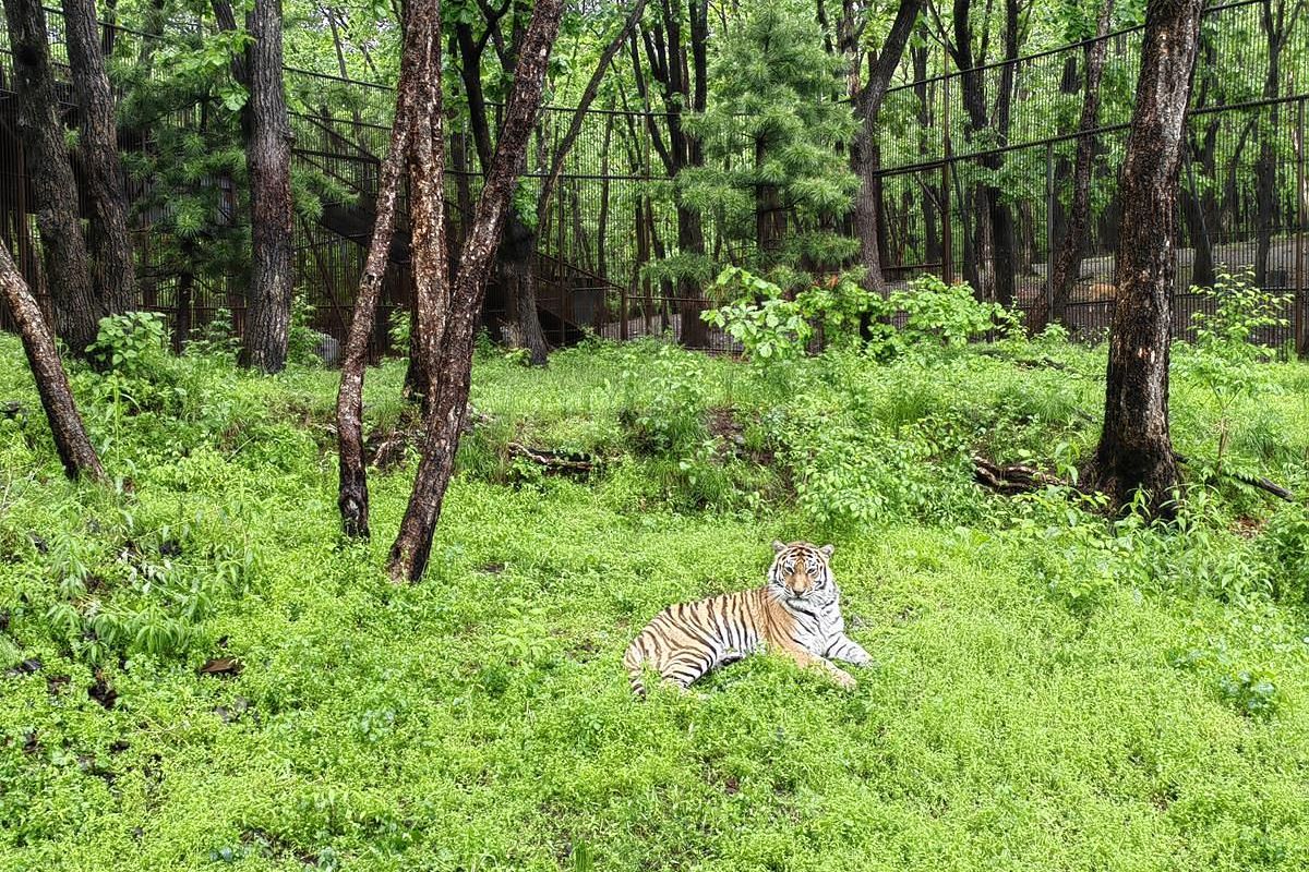 Тур "Лотосы и море"