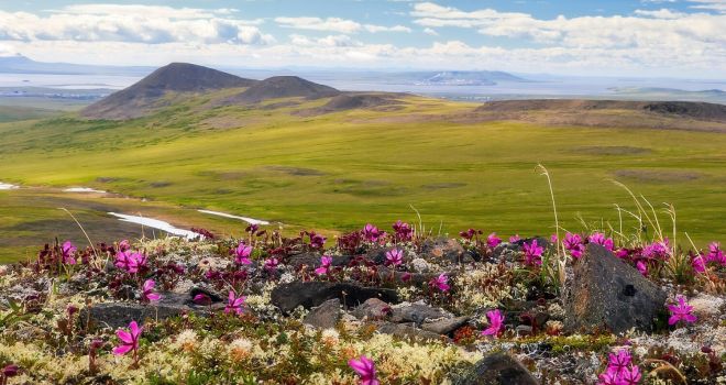 Чукотка: для чутких сердец