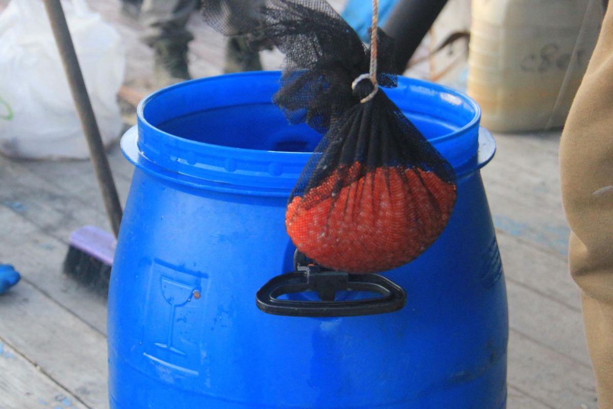 Озеро Красное – трофейная рыбалка в центральной Чукотке