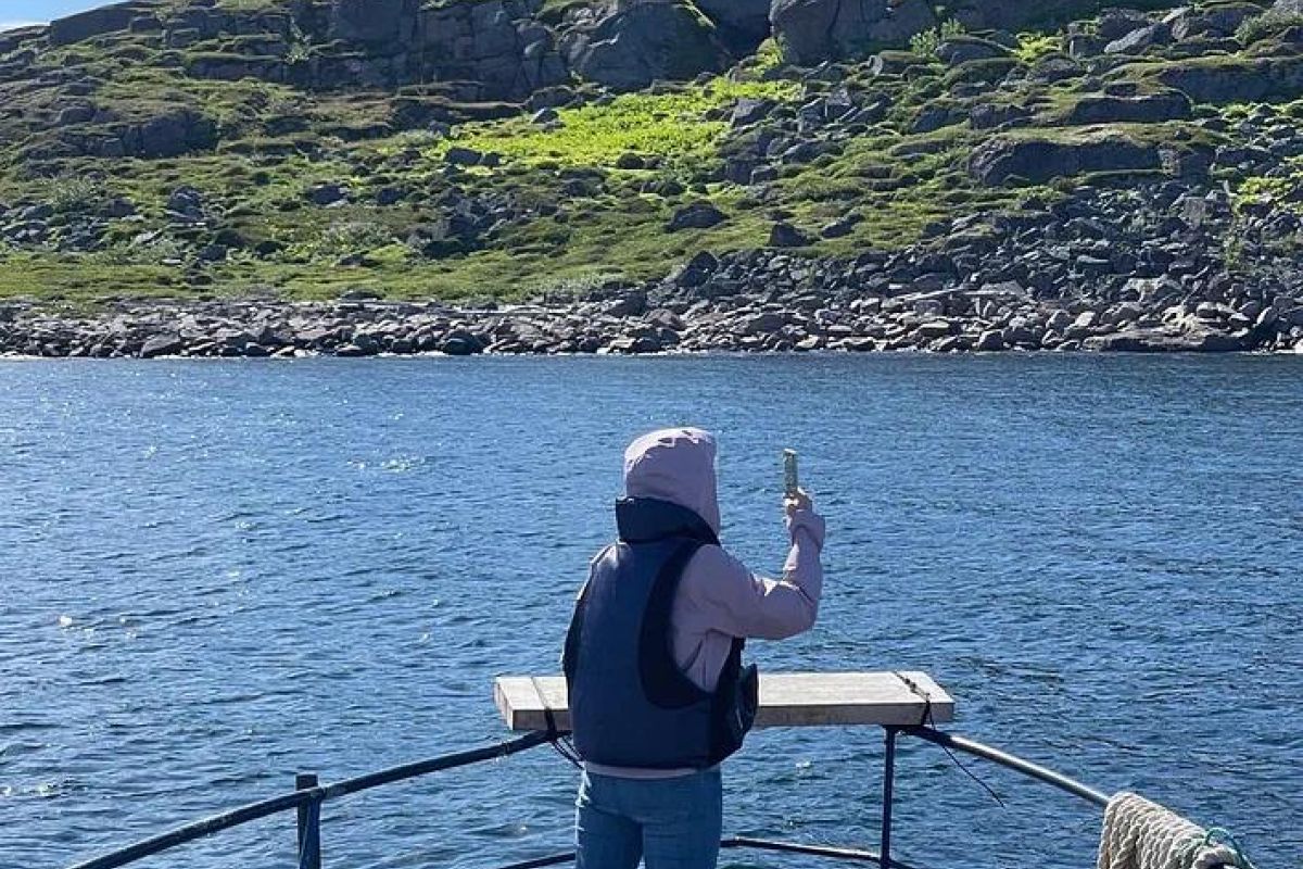 Териберка: морская прогулка в поиске китов