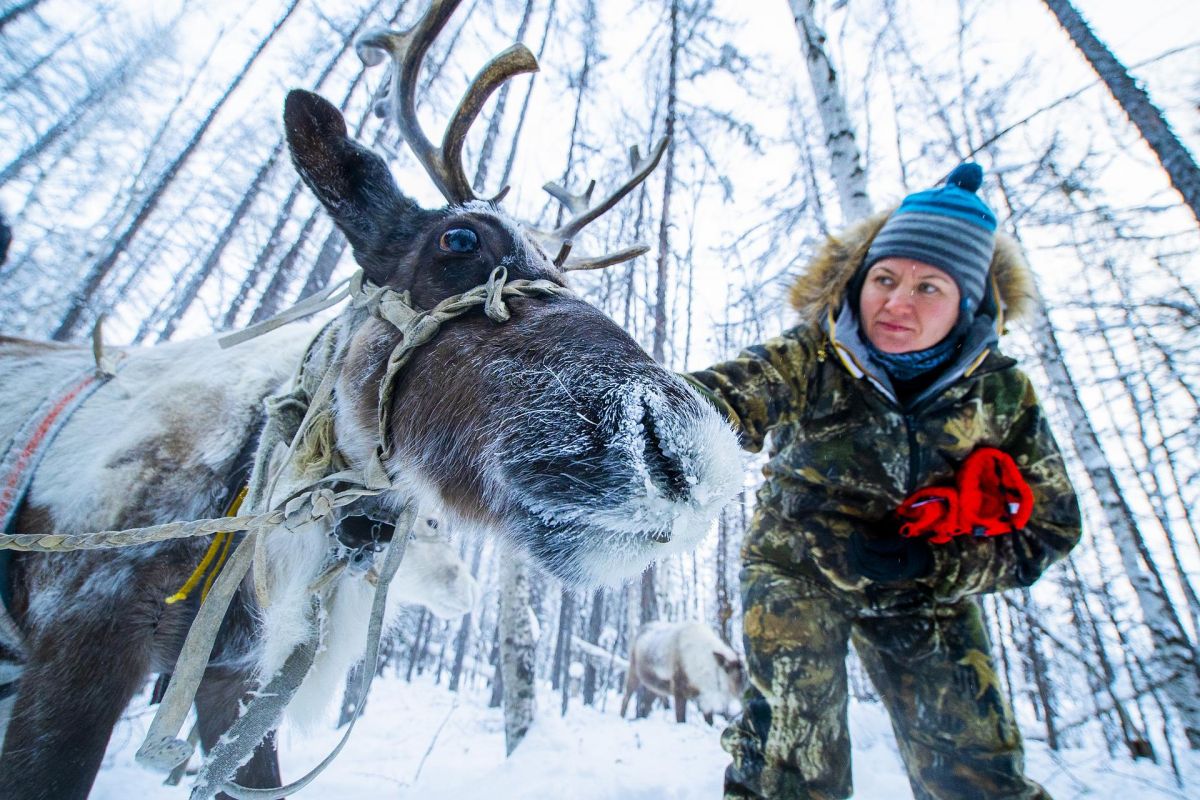 День Оленевода