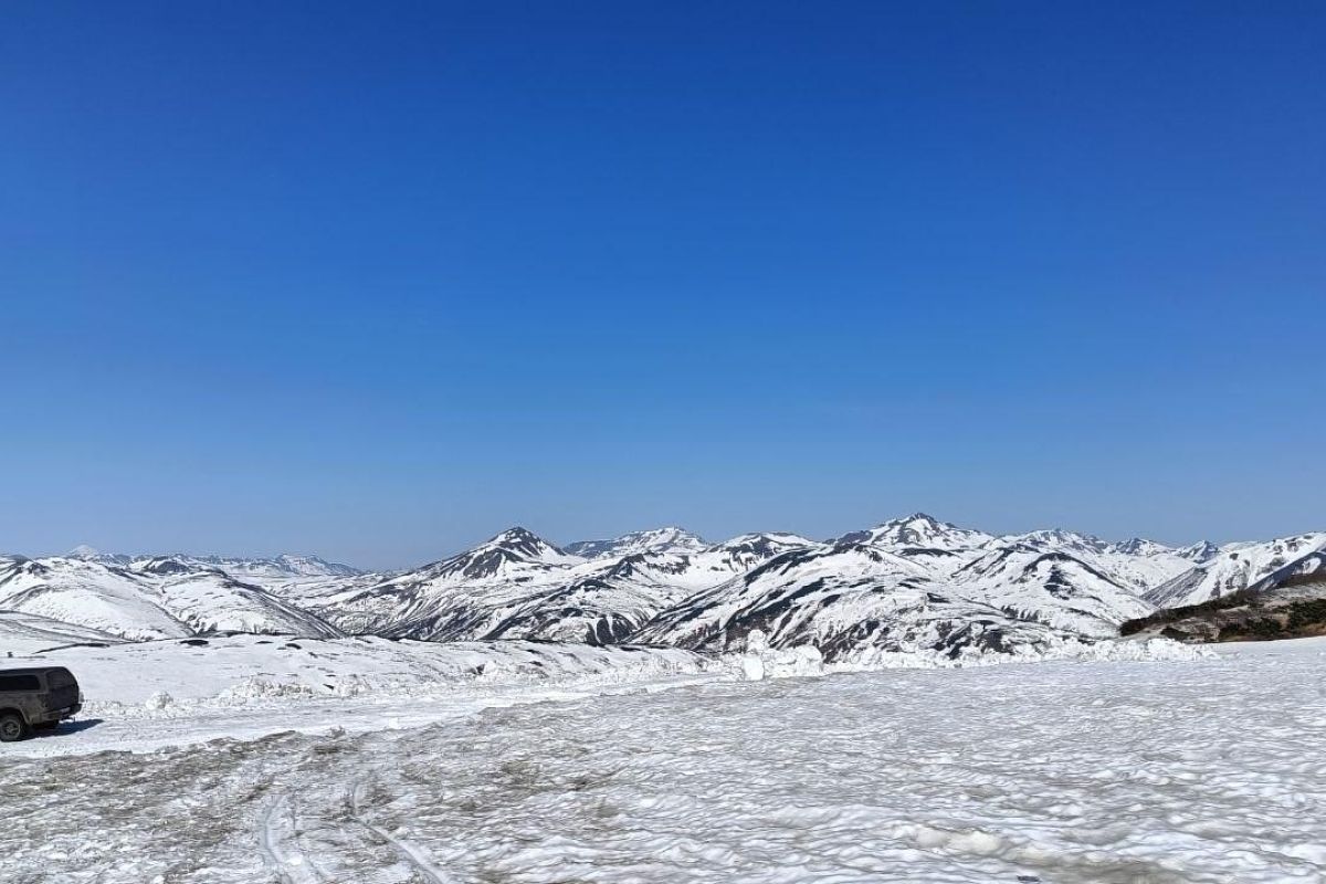 Камчатка. Июньская мозаика 2026