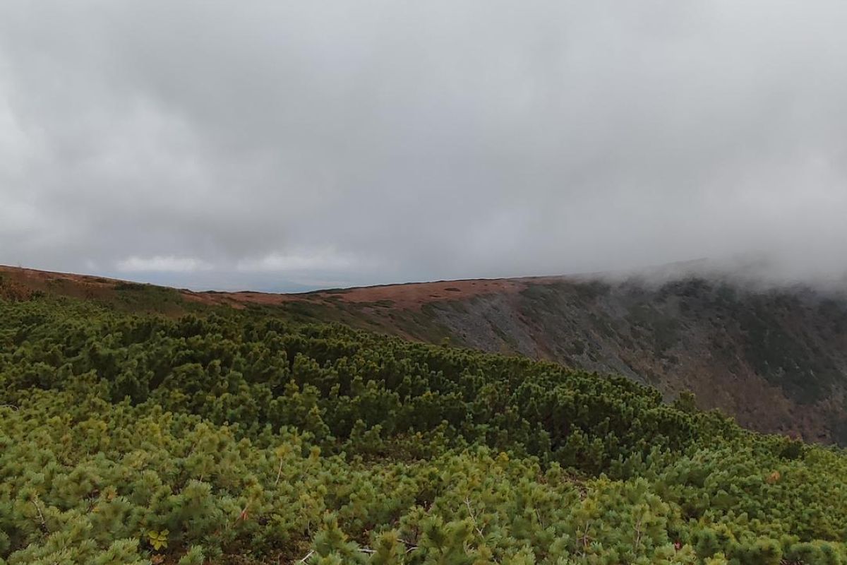 Горные купола Тукурингры