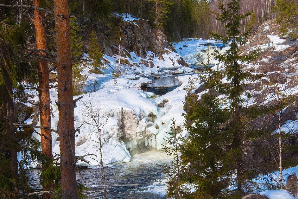 «Краски Севера» (3 дня/2 ночи)