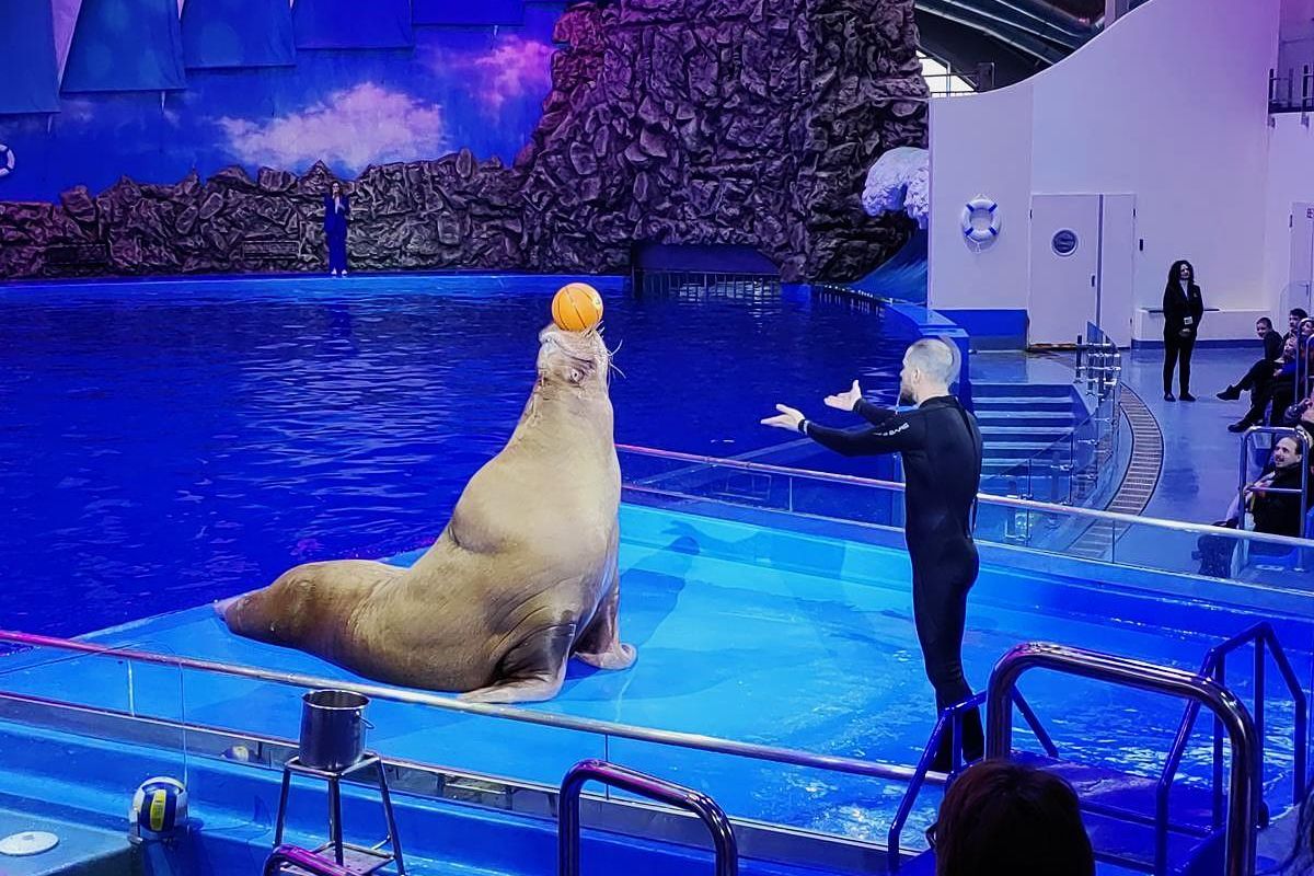 Тур "Тигры.Устрицы.Мосты"