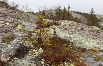 3 дня - о. Немецкий (Кузова) - о. Соловецкий