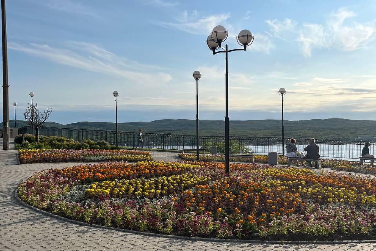 По волнам Арктики (пешая прогулка)