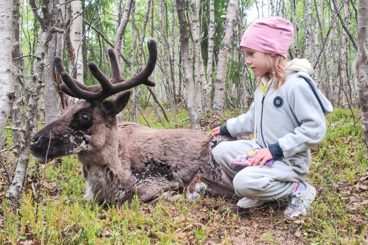 По волнам Арктики (морская прогулка)