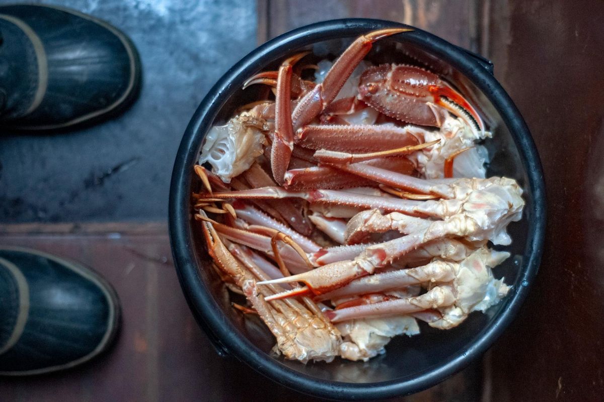 Камчатка за неделю