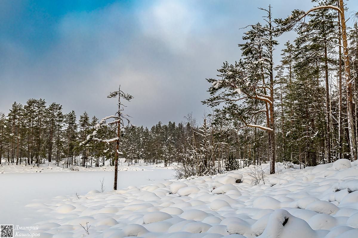 Времена года. Зимняя Карелия с фотографом. Путешествие на другую планету