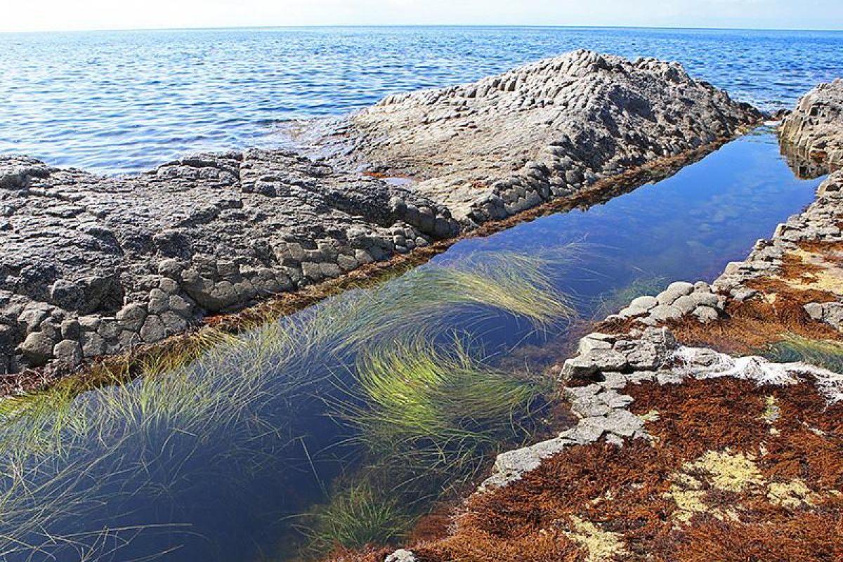 Групповой тур «3 острова: Сахалин –Итуруп – Кунашир»