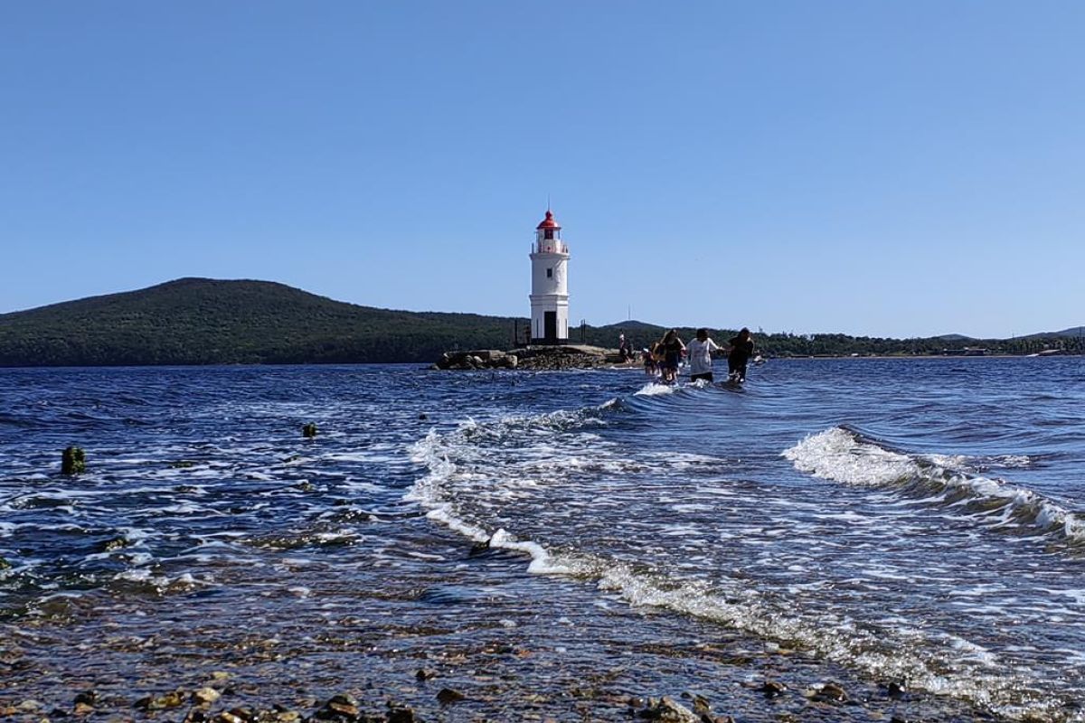Тур "Лотосы и море"