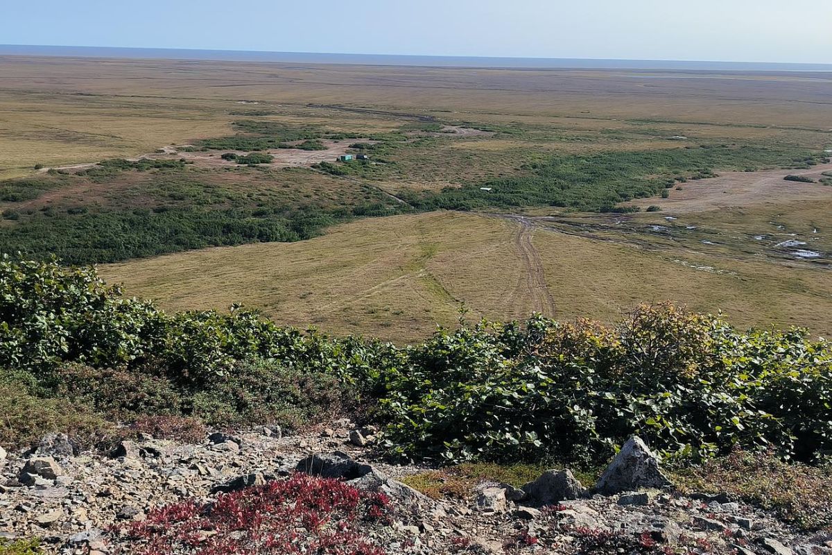 Прогулка по древнему вулкану (г. Анадырь, гора Дионисия), тур с ночёвкой