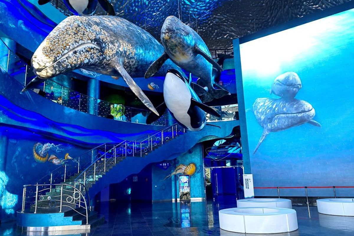 Тур "Семейное путешествие во Владивосток"