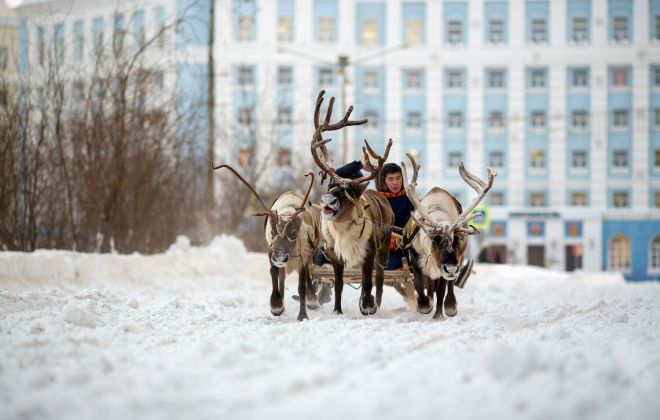 Участие в народных праздниках Таймыра