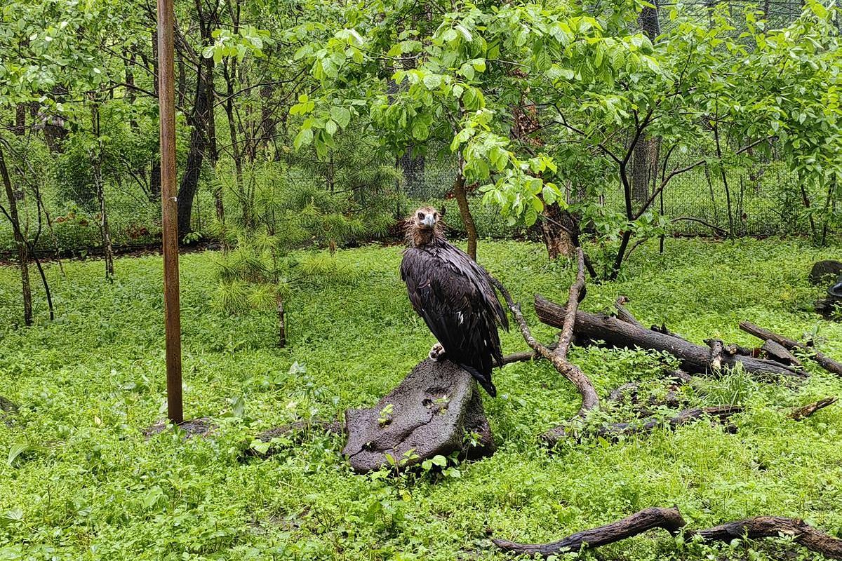 Тур "Приморье + Сахалин"