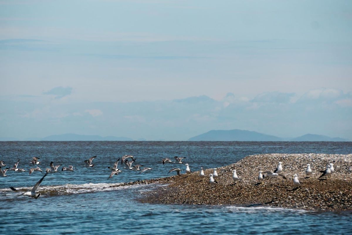 Тур "Заповедное Приморье: с юга на север"