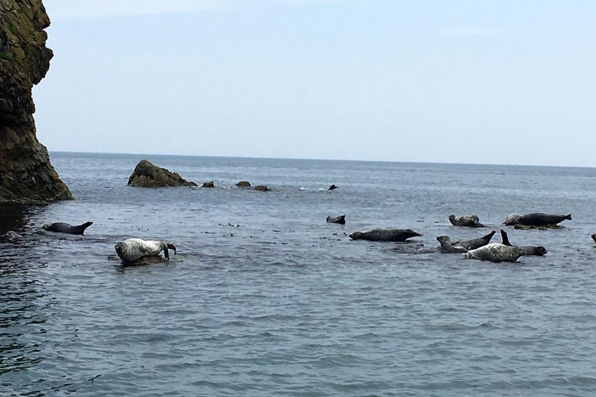 Тур "Отпуск в тельняшке"