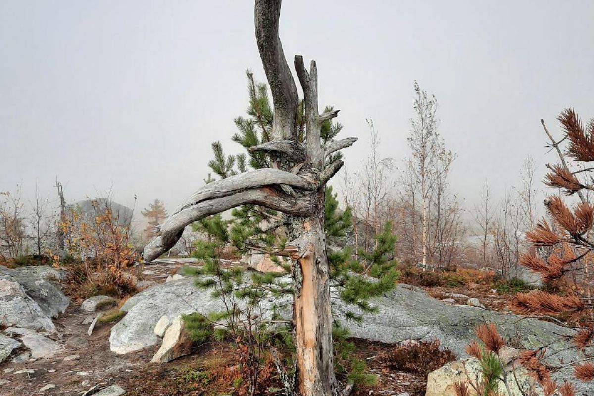 Мистическая гора Воттоваара
