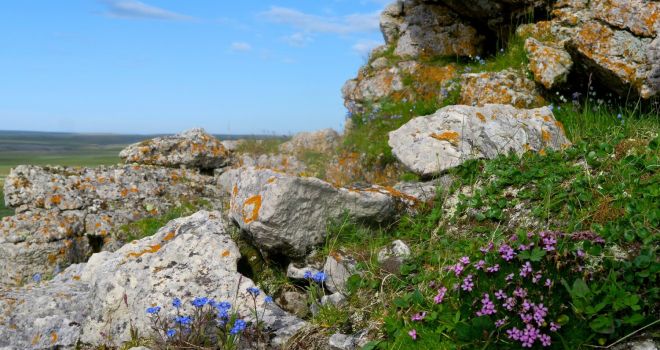 Остров Вайгач