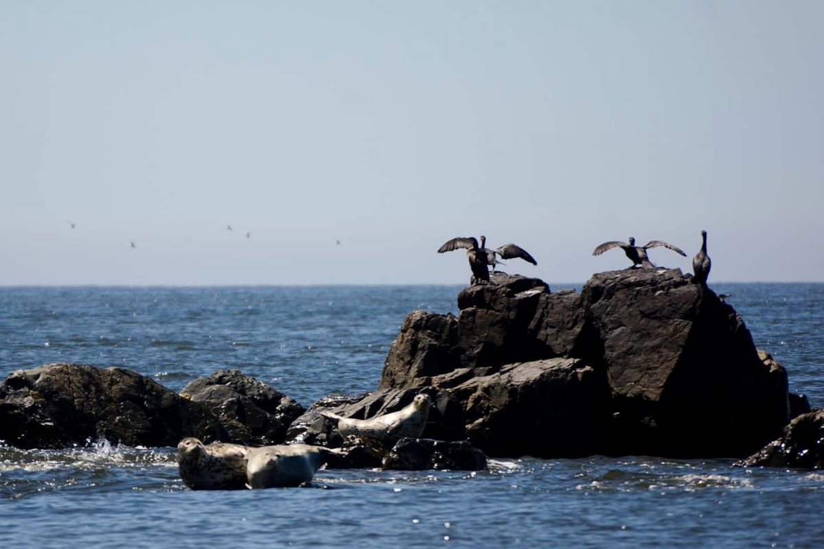 Тур "Заповедное Приморье: с юга на север"