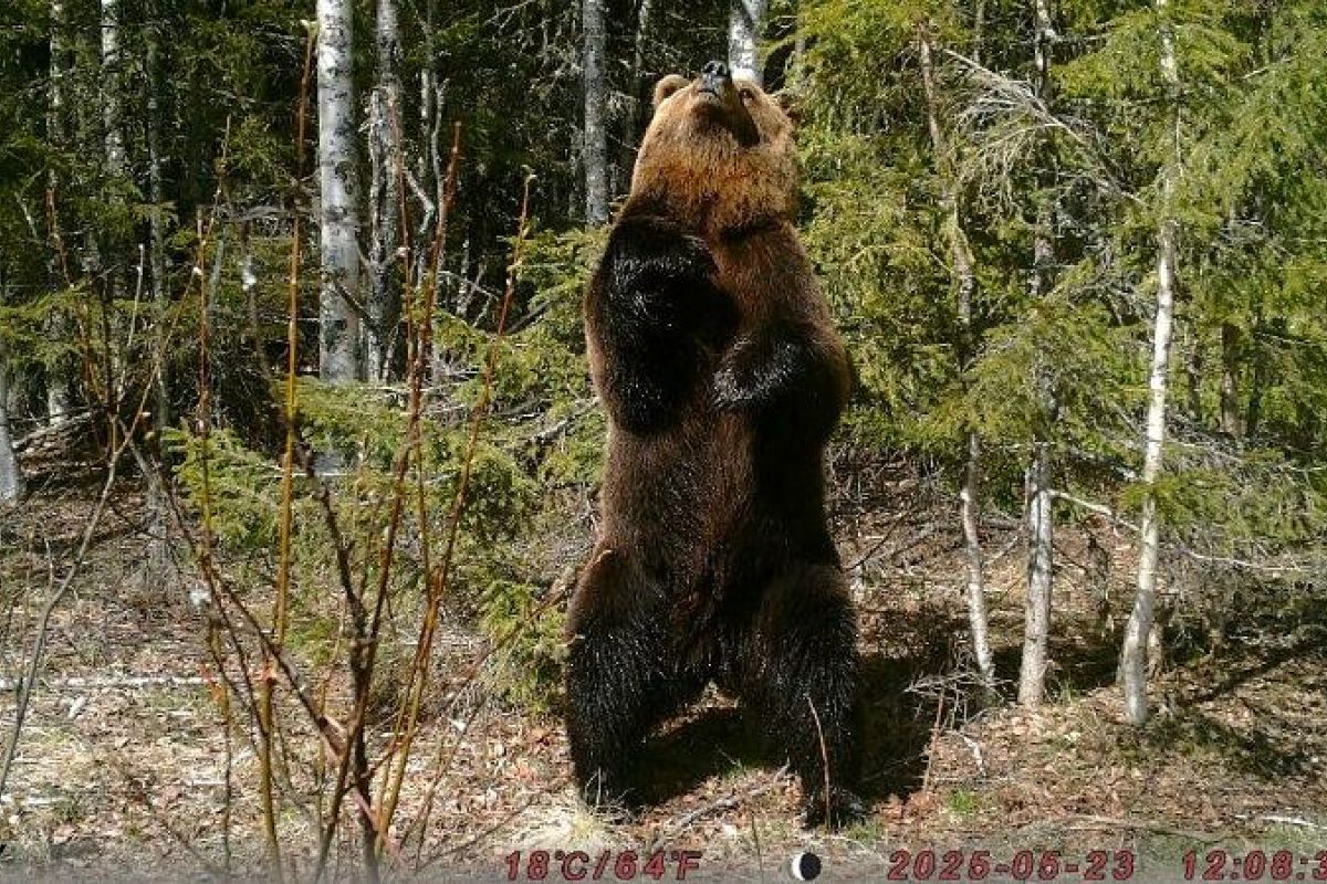 "НАУЧНЫЙ КРУИЗ ПО ОНЕЖСКОМУ ПОМОРЬЮ" - путешествие с учёным