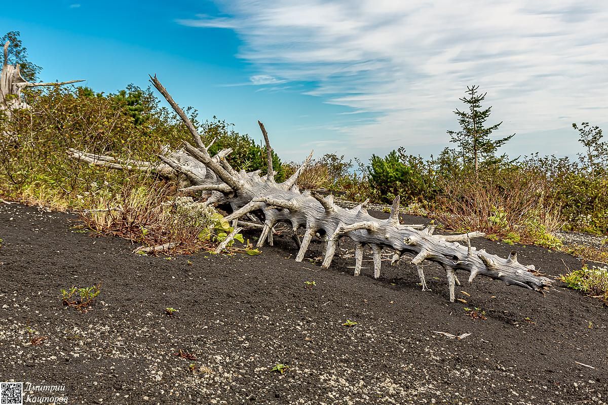 Три вулкана Курильских островов. Путешествие на другую планету