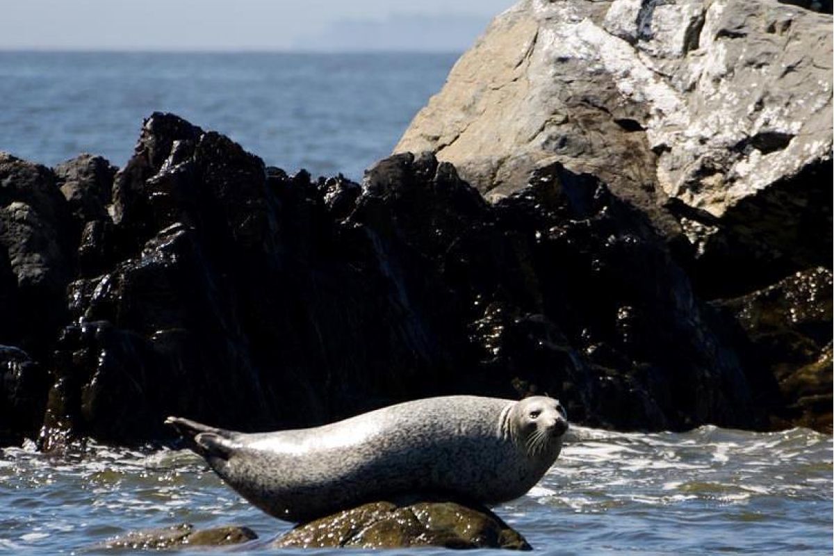 Тур "Заповедное Приморье: с юга на север"