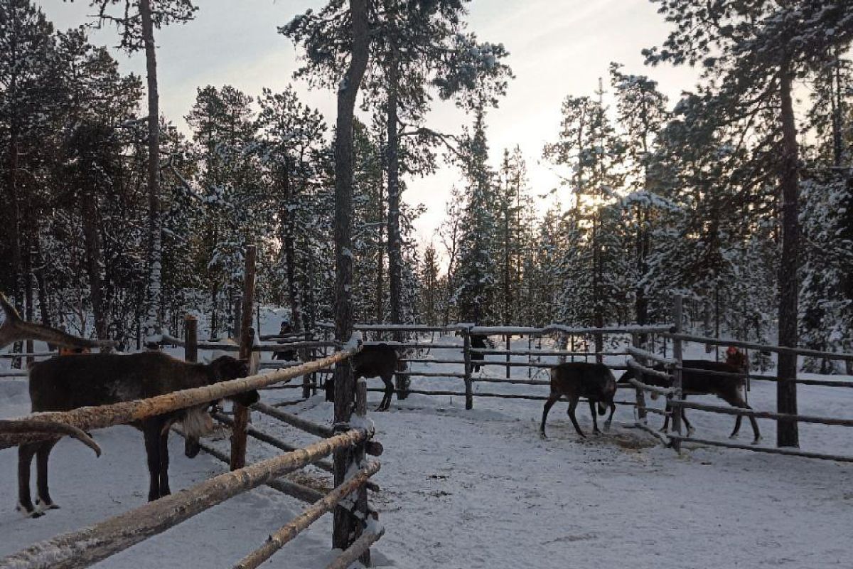 Ешь, лови, кайфуй (зима)