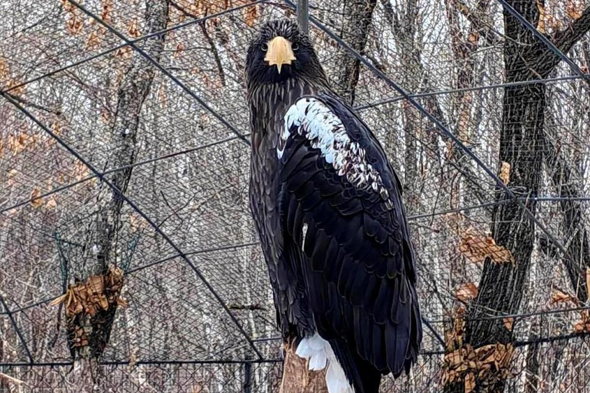 Тур "Владивосток – город у океана"
