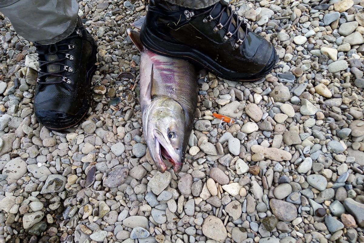 Озеро Красное – трофейная рыбалка в центральной Чукотке