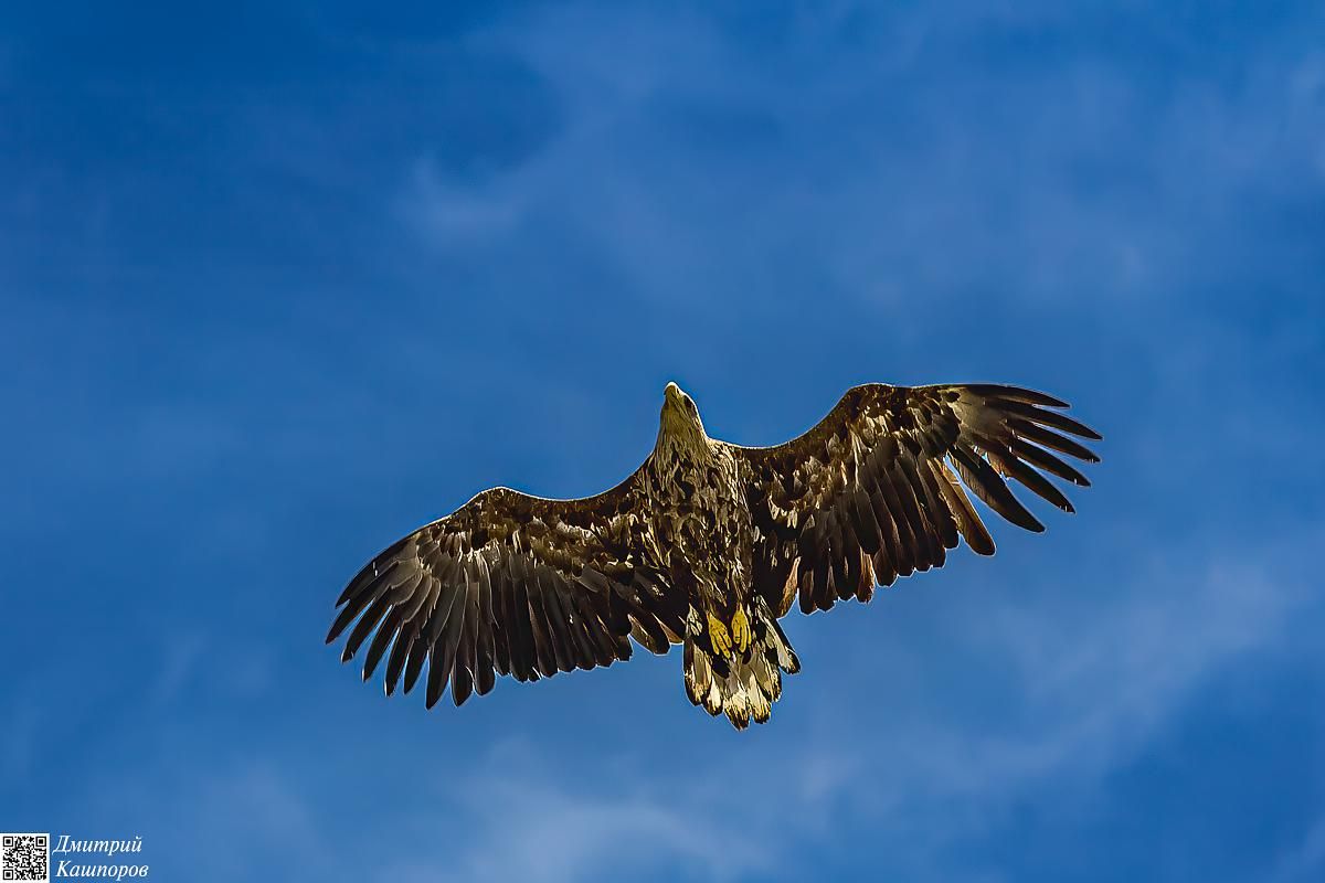Три вулкана Курильских островов. Путешествие на другую планету
