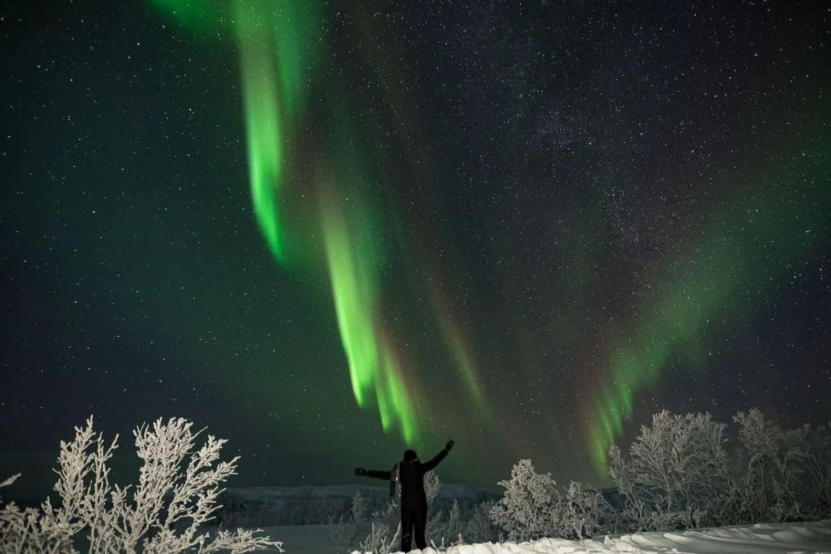 Аврора. Море. Ты. (морская прогулка)