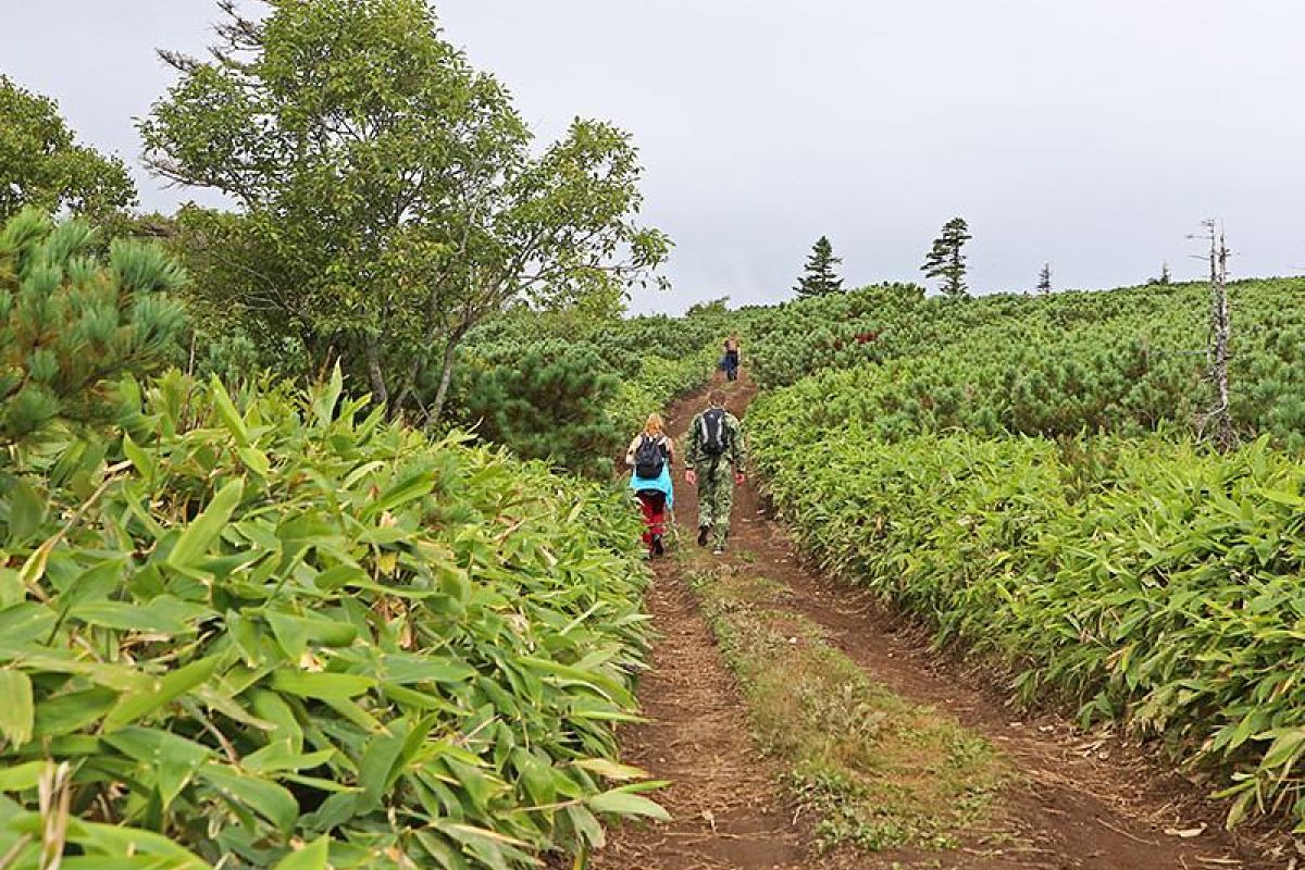 Групповой тур «3 острова: Сахалин –Итуруп – Кунашир»