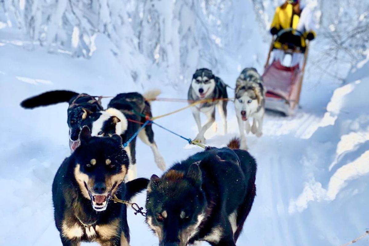 Сердце Камчатской зимы: самые популярные зимние маршруты.
