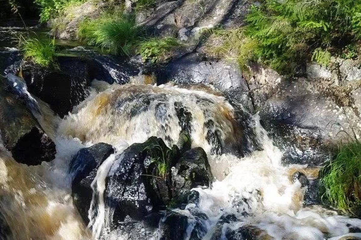 «ГРАНД-ТУР ПО КАРЕЛИИ + Соловки 3 дня» 2026