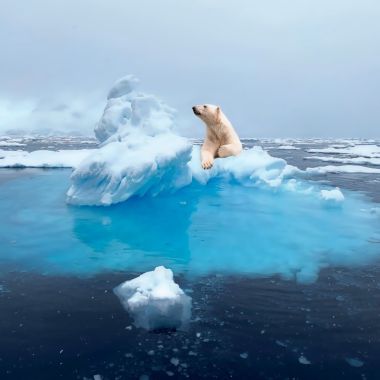 В Арктике вы в гостях