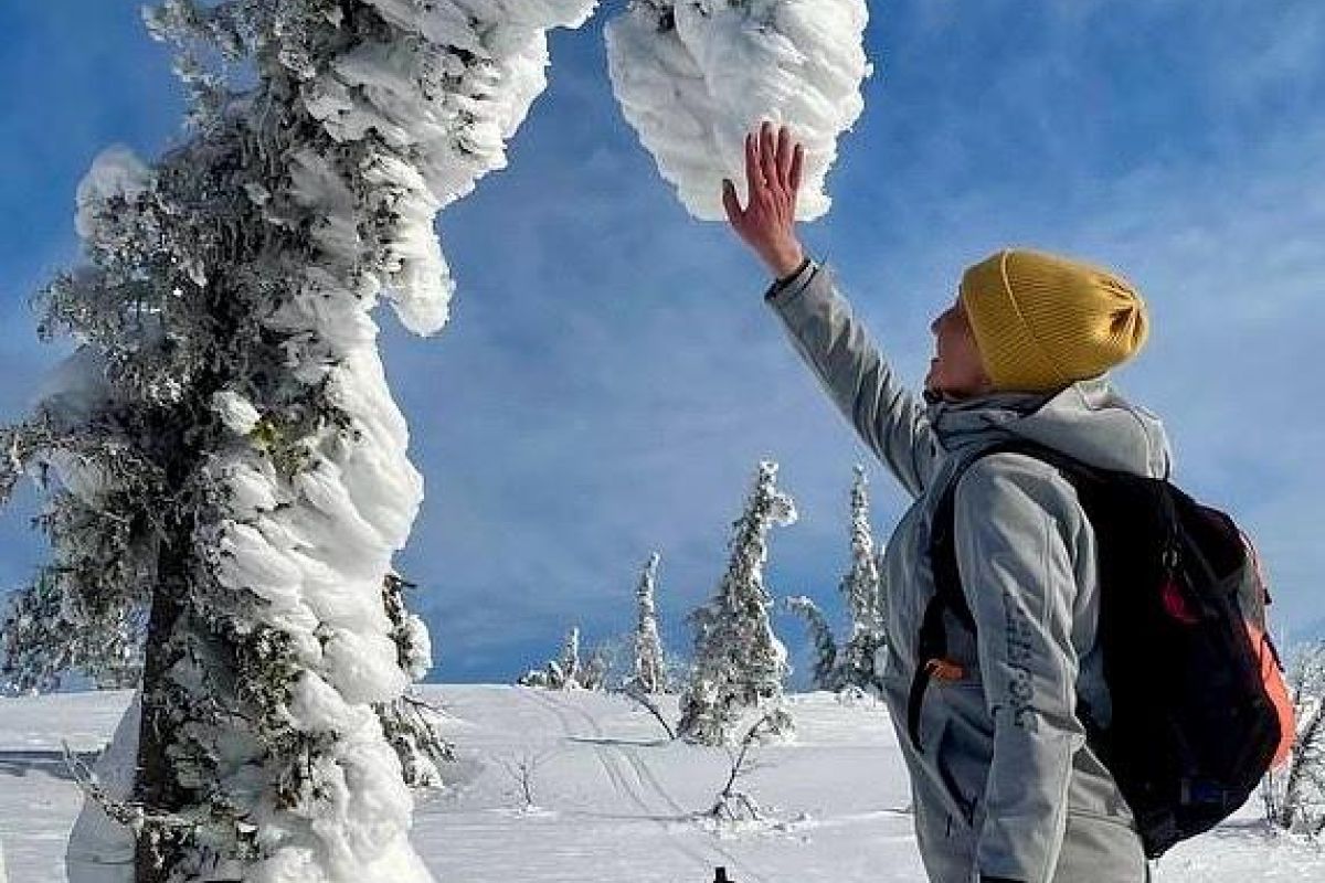 Снежный май