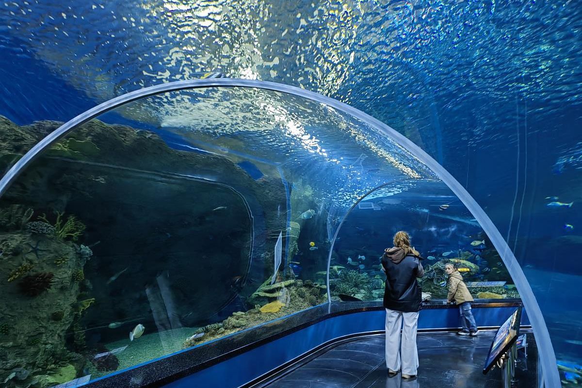 Тур "Дыхание весны у моря" (1 - 6 мая 2026)