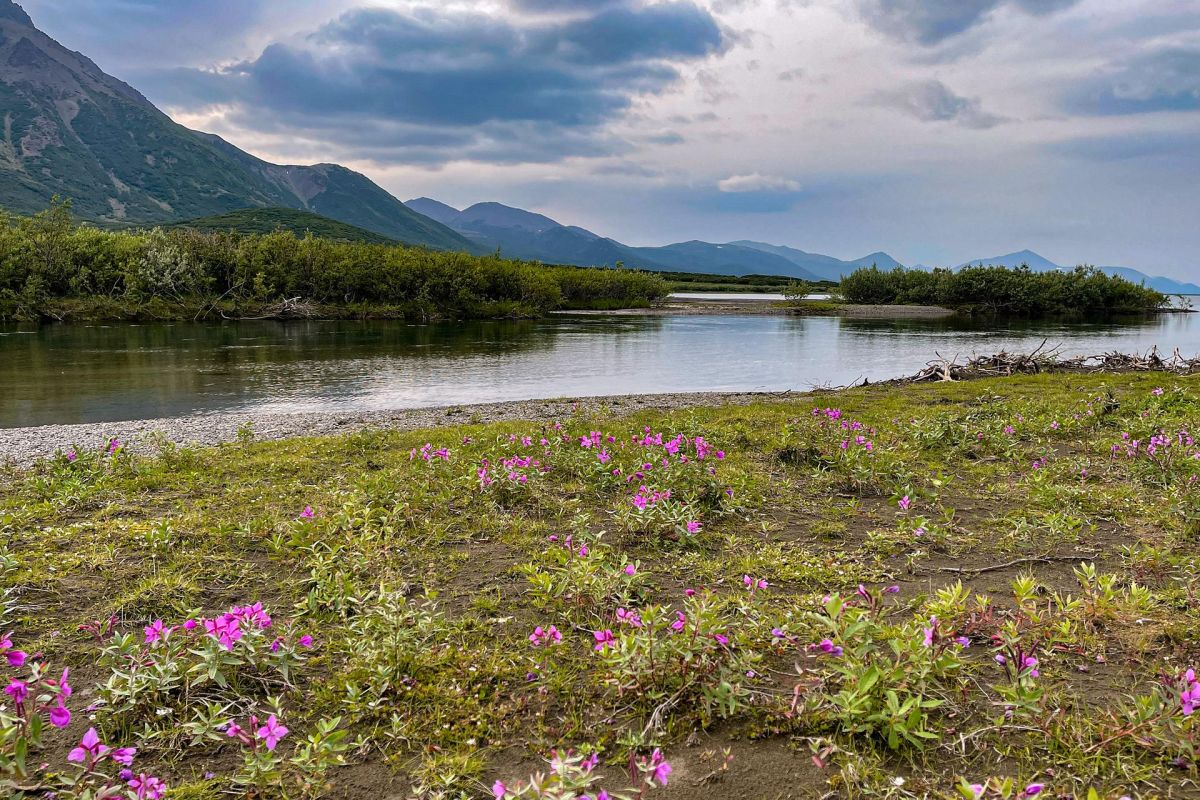 Горы, тундра, море – «три Чукотки» в одном маршруте (заброска наземным транспортом)