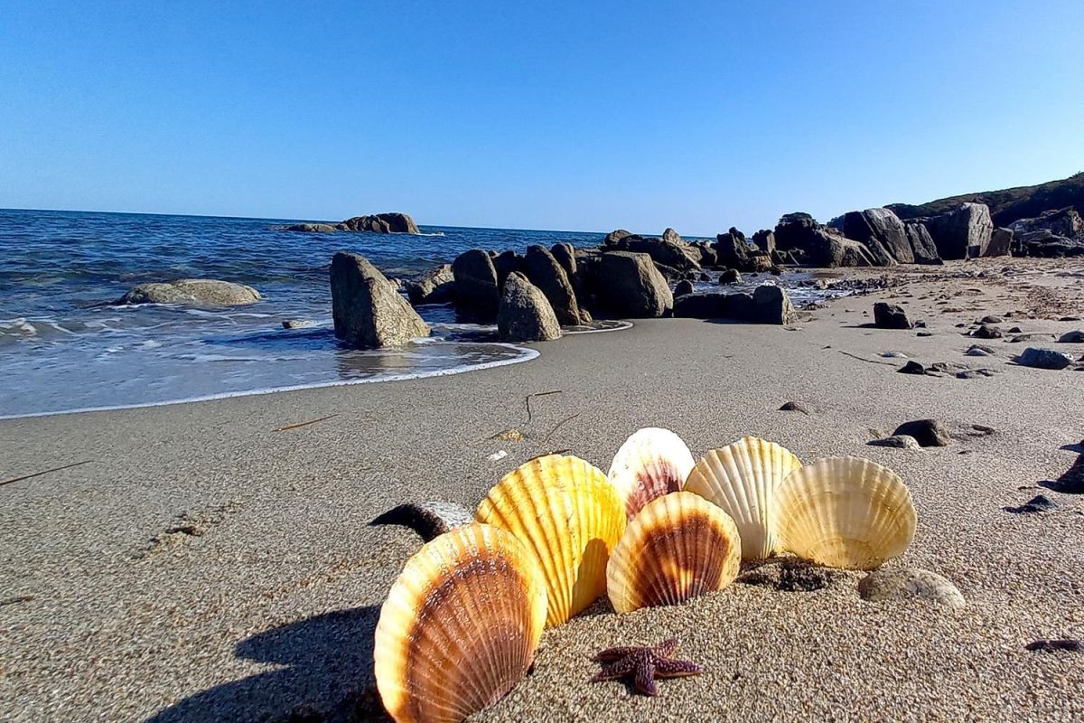 Тур "Четыре истории"