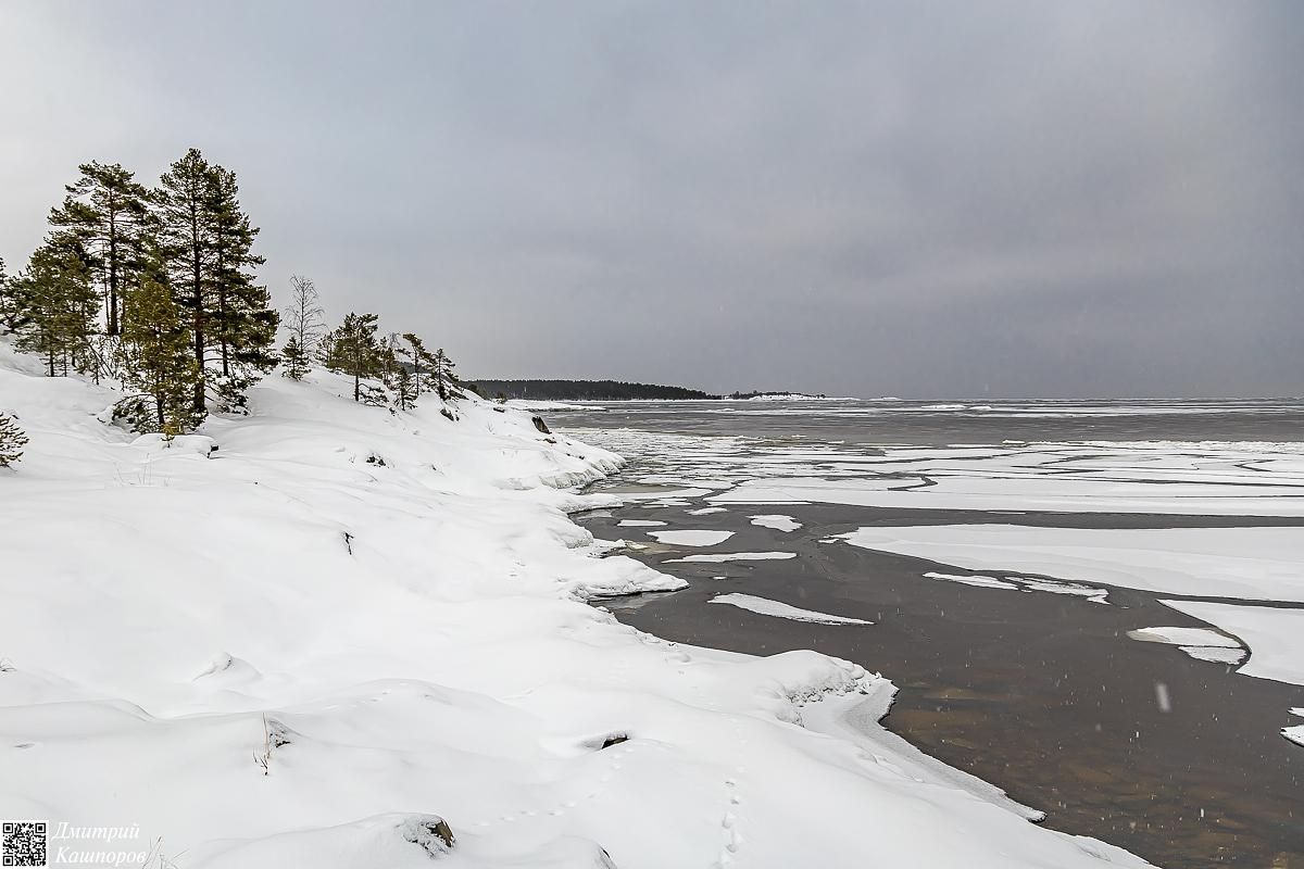 Времена года. Зимняя Карелия с фотографом. Путешествие на другую планету
