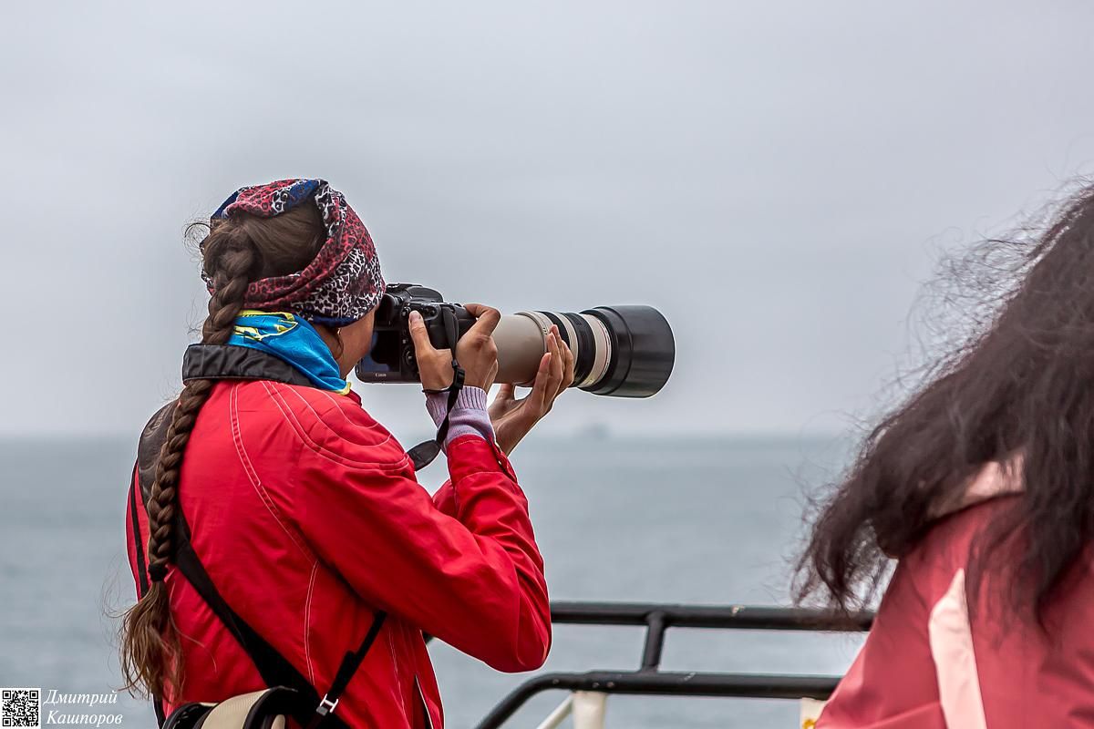 Кунашир и Шикотан. Путешествие на другую планету