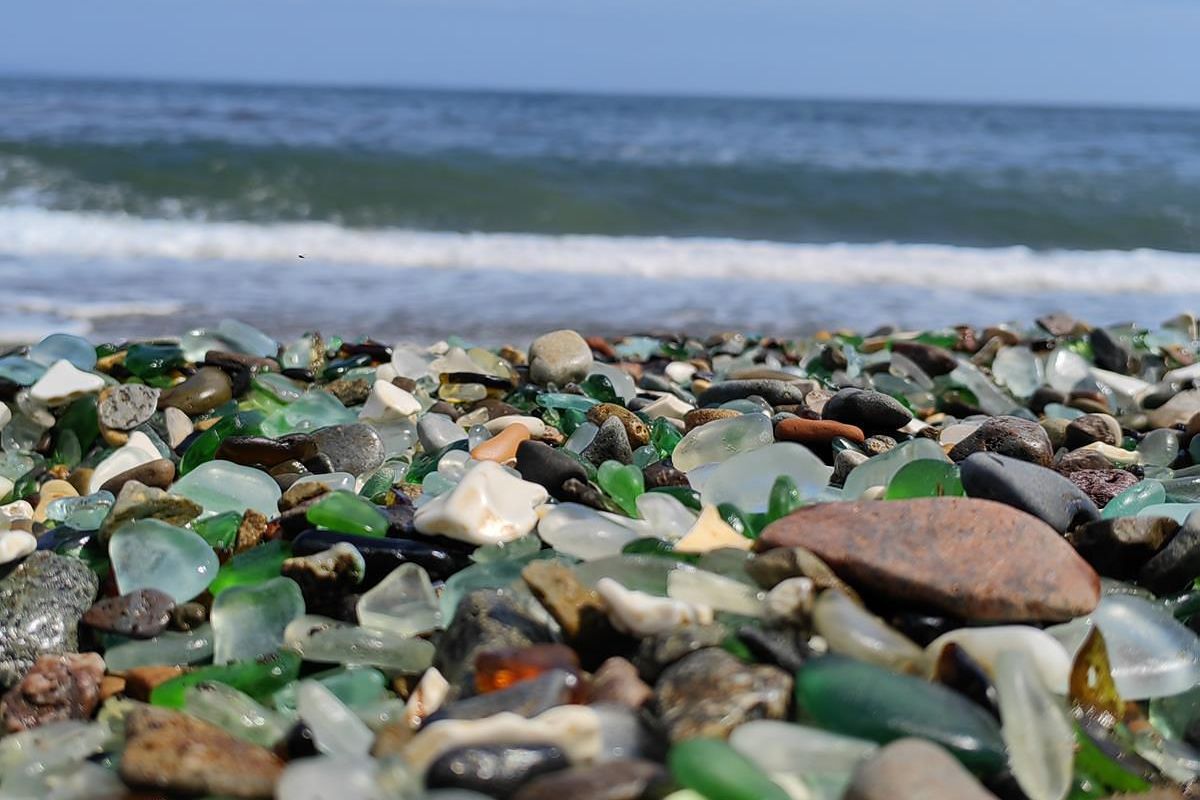 Сафари-парк + Стекляшка